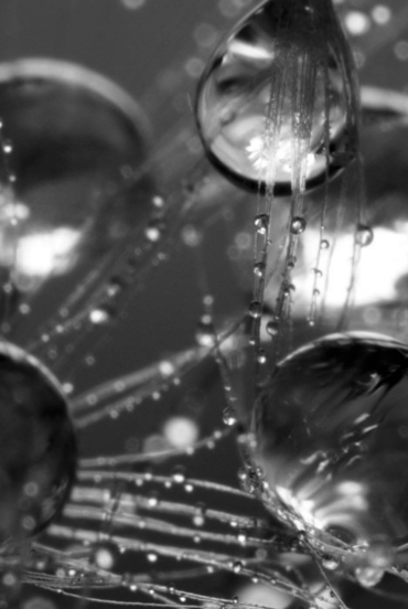 powder-pigments-dyes